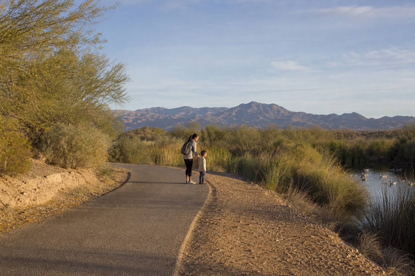 Clark County Wetlands Park With Kids: A Local Family Guide