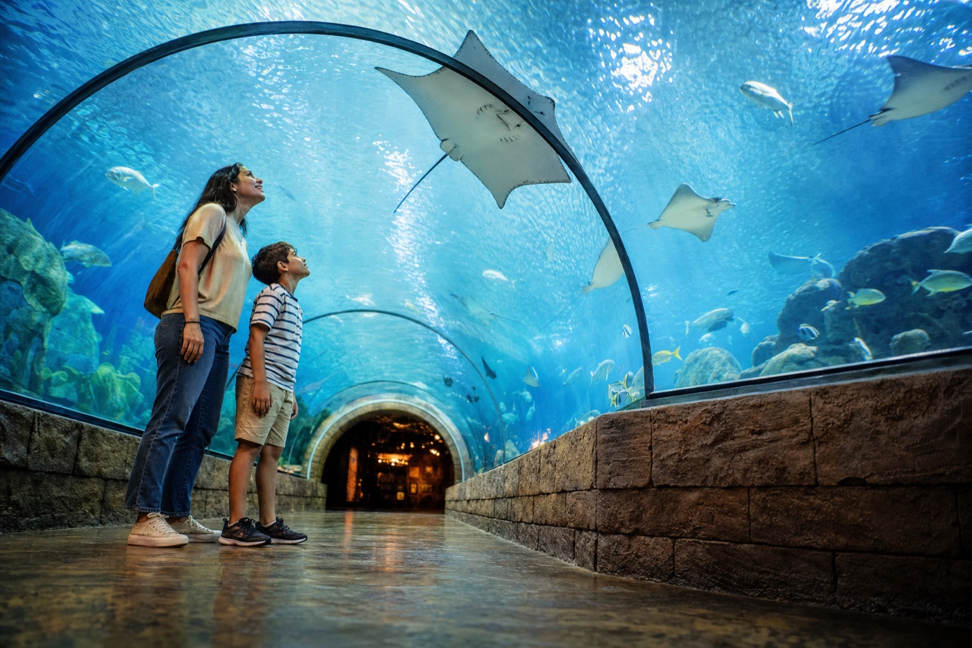 Shark Reef Aquarium With Kids: Is It Worth It?
