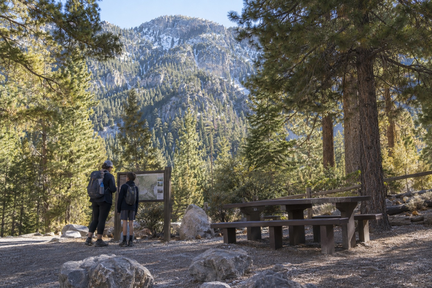 Mount Charleston With Kids: Easy Mountain Day From Las Vegas